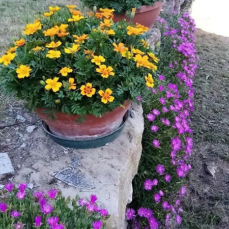 2 Bedrooms With Garden At