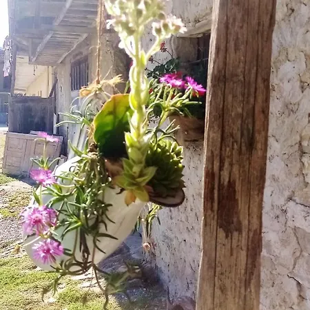 2 Bedrooms With Garden At